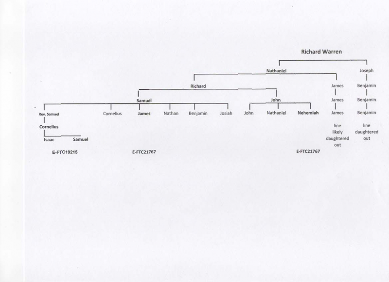 File:Warren Y-DNA tree.png