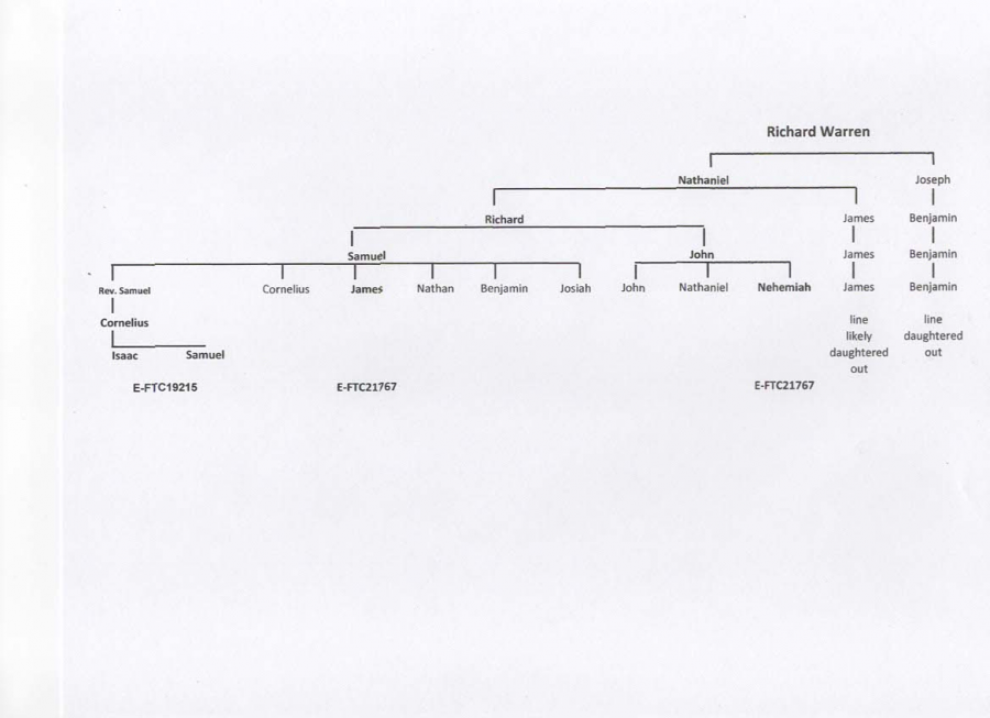 Warren Y-DNA tree.png