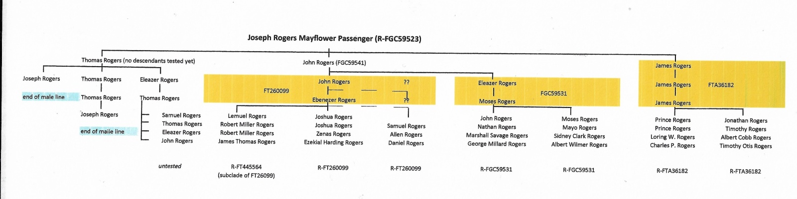 Rogers SNP Mutation tree.jpg