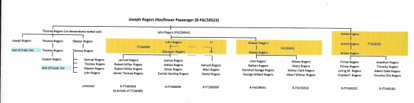 Rogers SNP Mutation tree.jpg